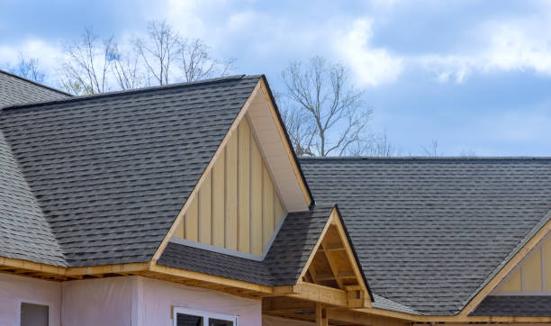 Reliable Citrus Park, FL Roofing Services Solutions