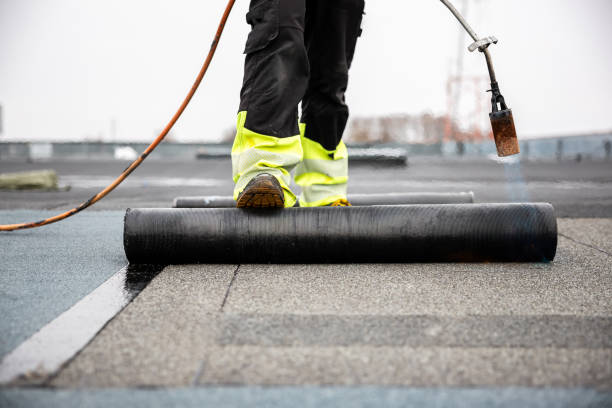 Best Solar Panel Roofing Installation  in Citrus Park, FL