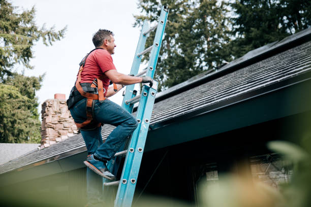Best Green or Eco-Friendly Roofing Solutions  in Citrus Park, FL