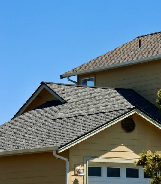 Emergency Roof Repair in Citrus Park, FL